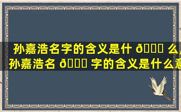 孙嘉浩名字的含义是什 🍁 么,孙嘉浩名 🐞 字的含义是什么意思